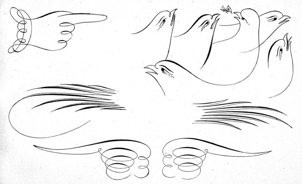 Oiseaux calligraphiques Ames guide to self instruction
