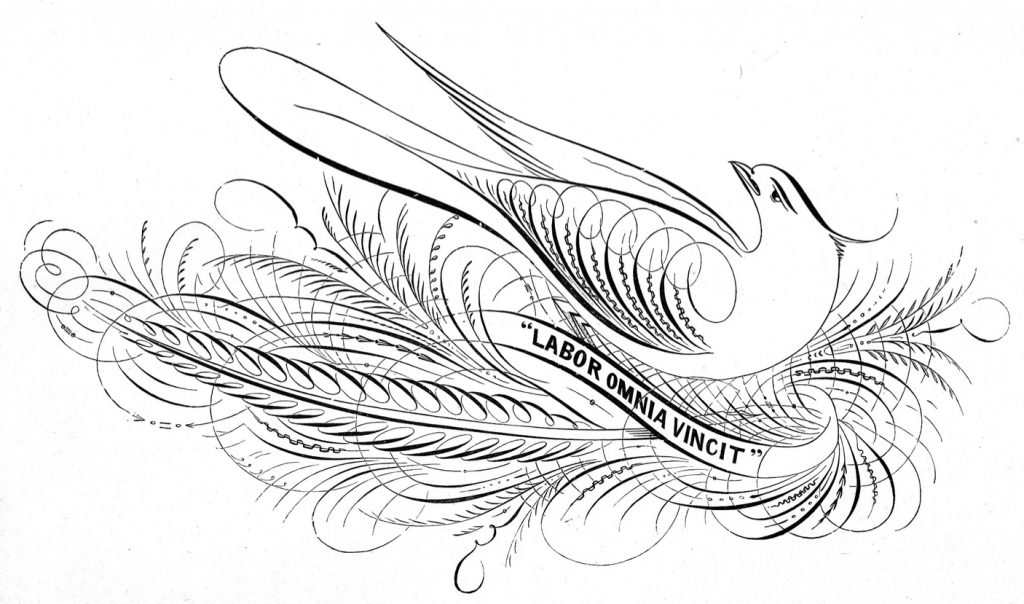 calligraphie anglaise Ames guide to self instruction