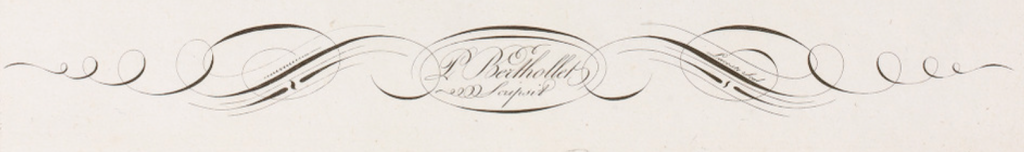 Paul Berthollet, oiseaux calligraphiques