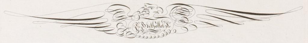 Paul Berthollet oiseaux calligraphiques & signature